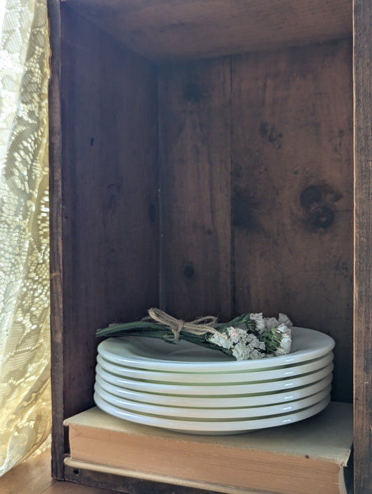 Set of 5 pyrex plates