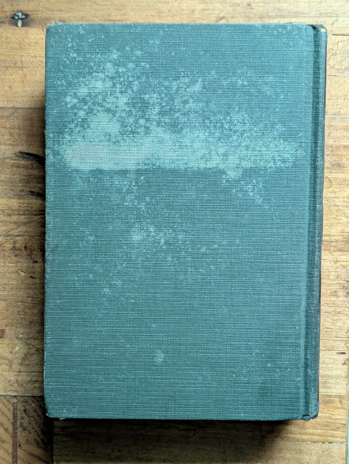 The Mysterious Stranger book