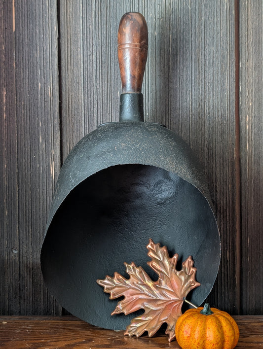Grain scoop