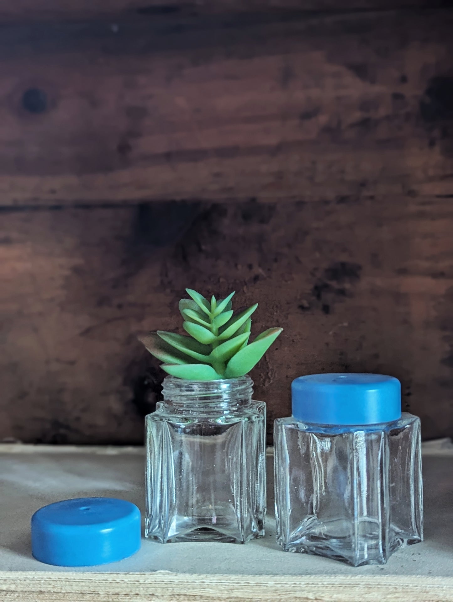 Glass and plastic periwinkle shaker set