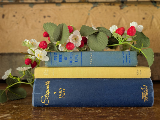 Bookstack blue and yellow