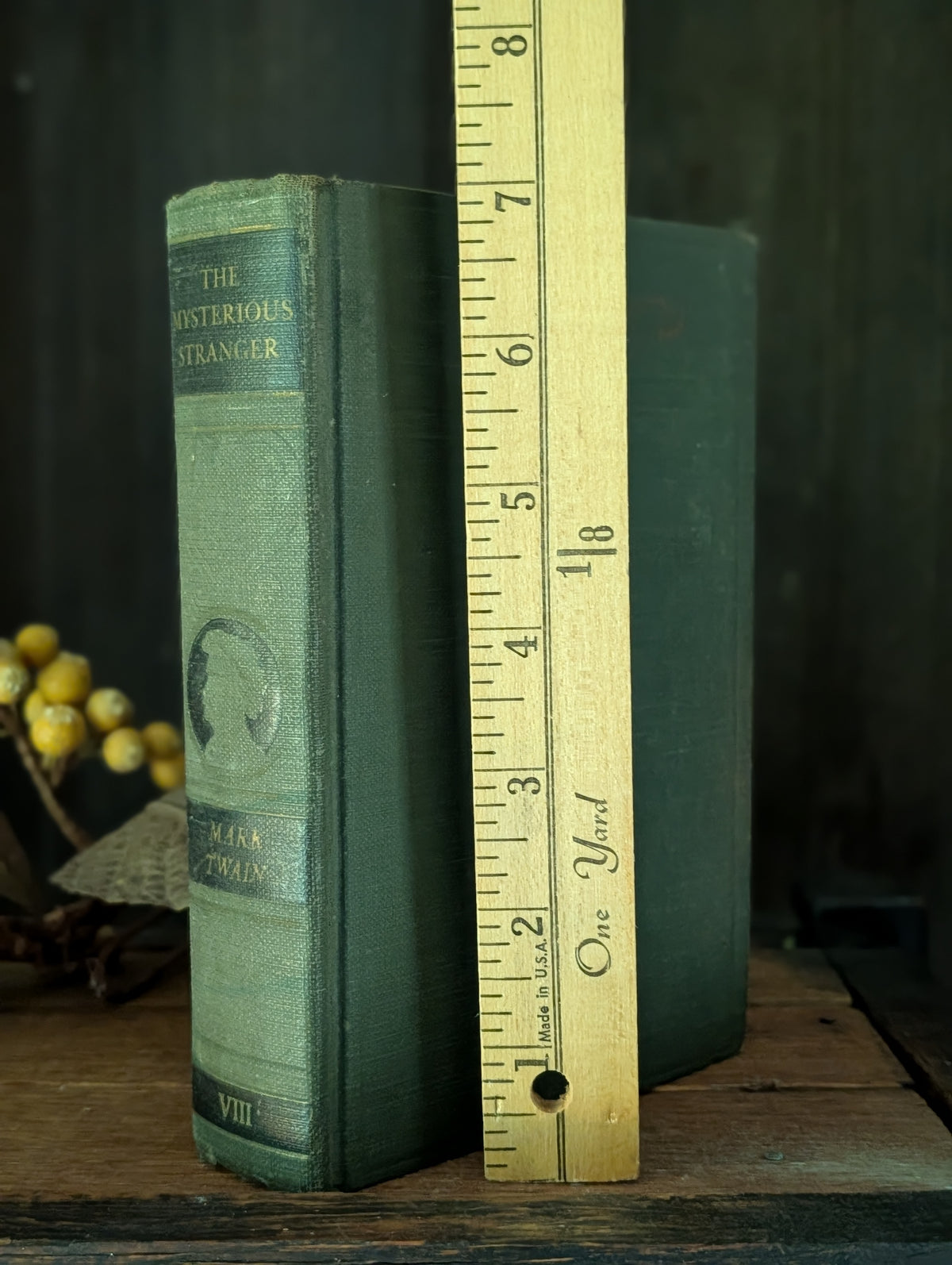 The Mysterious Stranger book