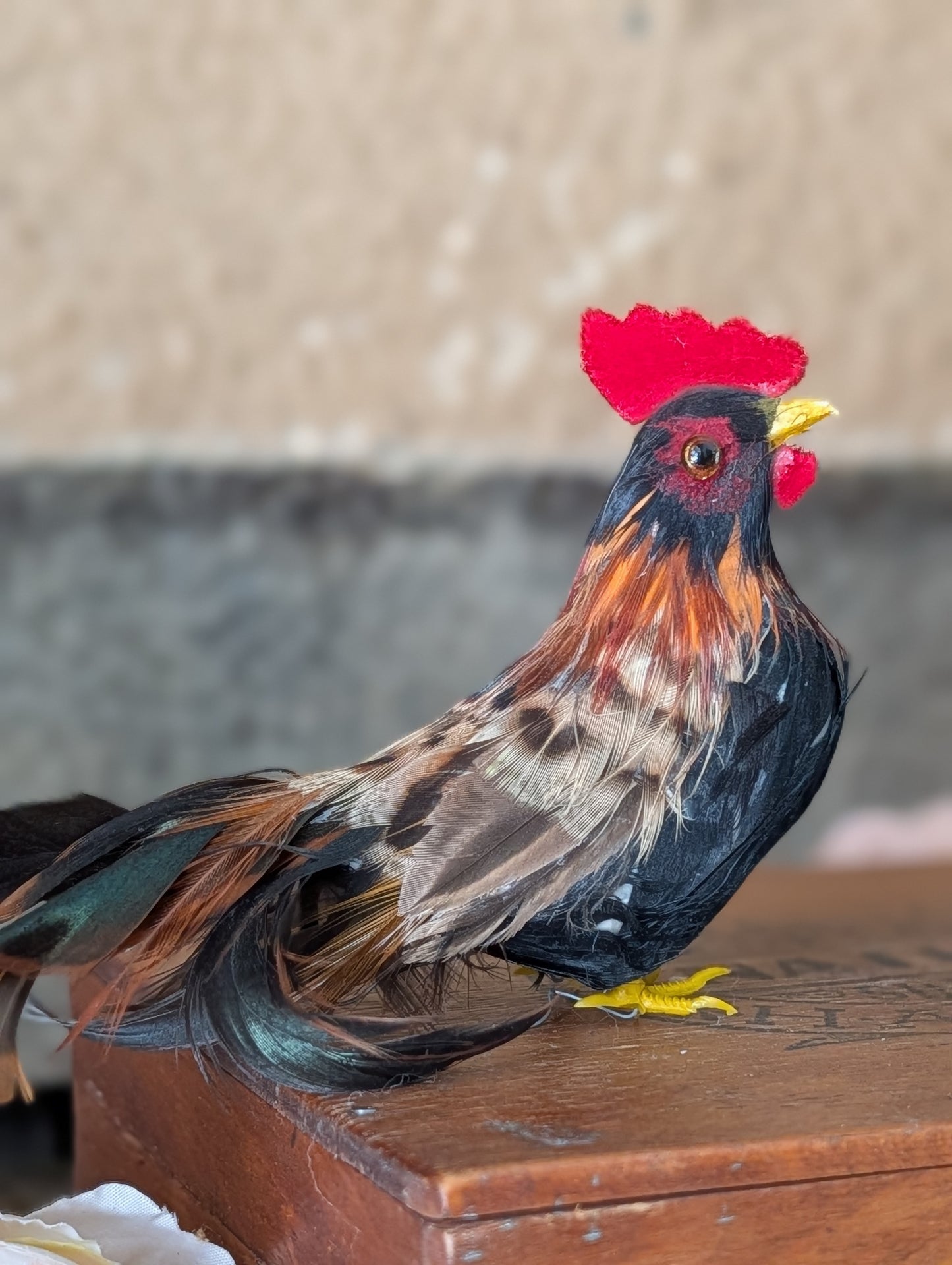 Hen and rooster pair