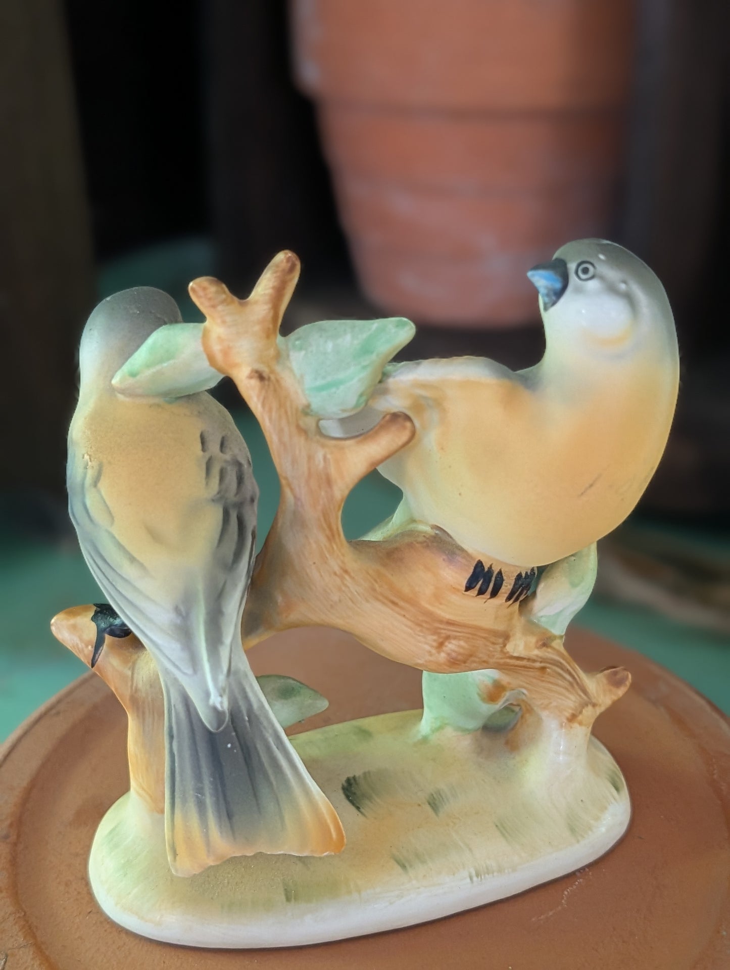Cloche/bird collection