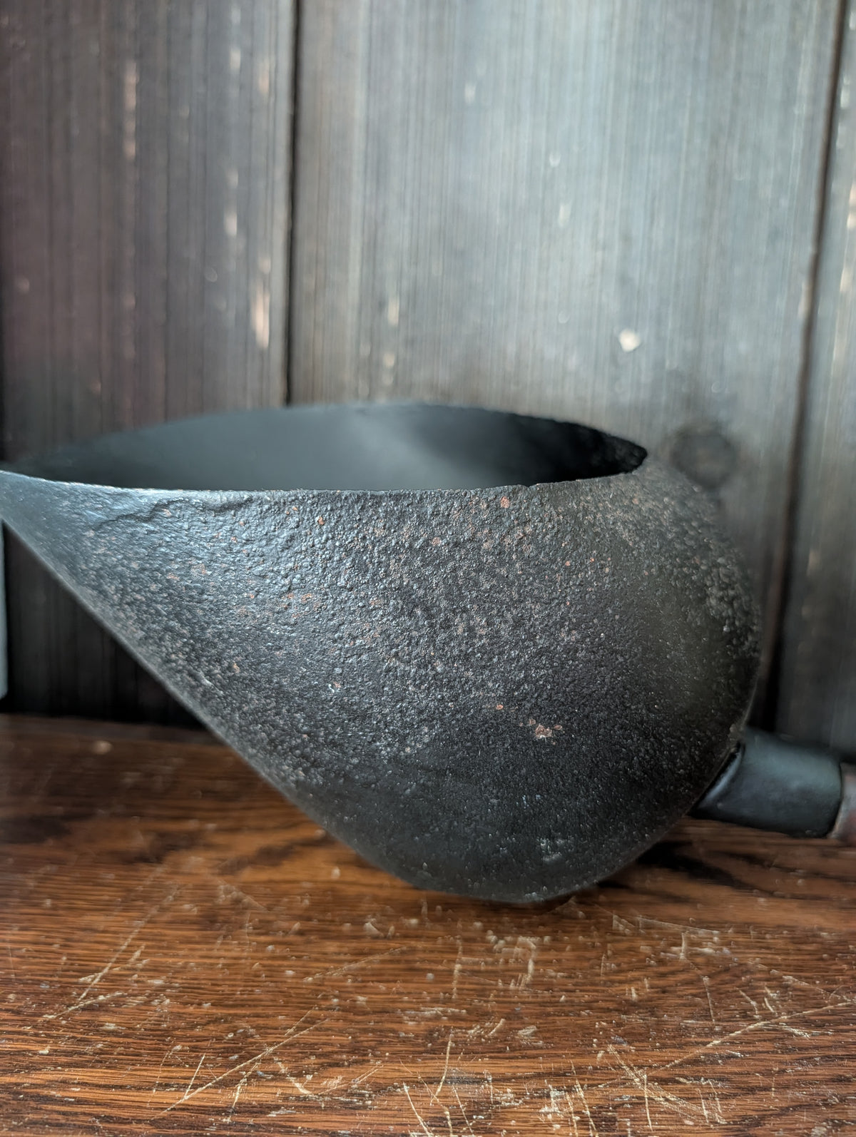 Grain scoop