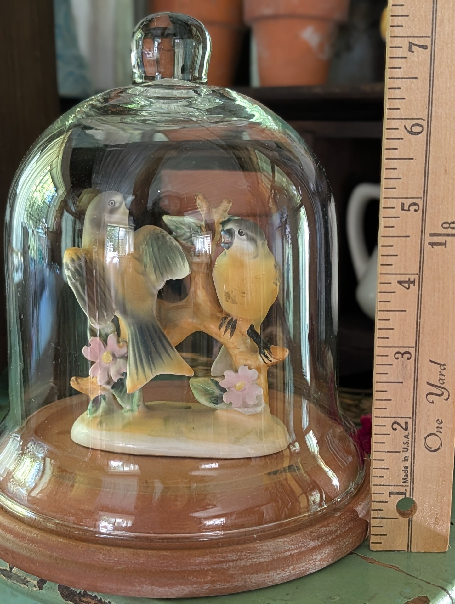 Cloche/bird collection