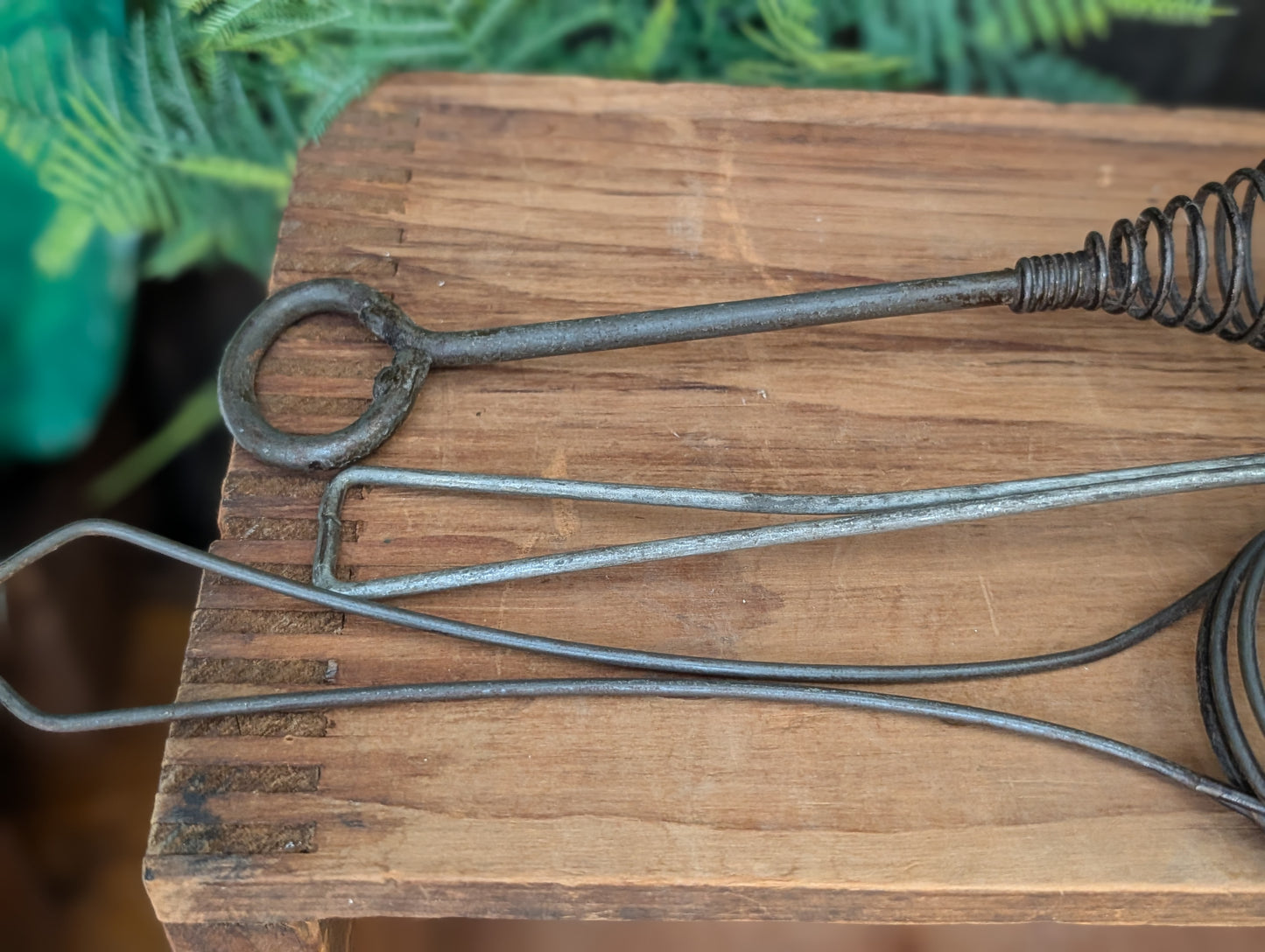 Primitive whisks