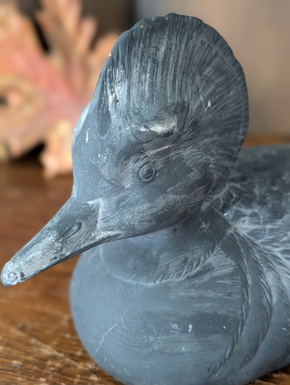 Duck