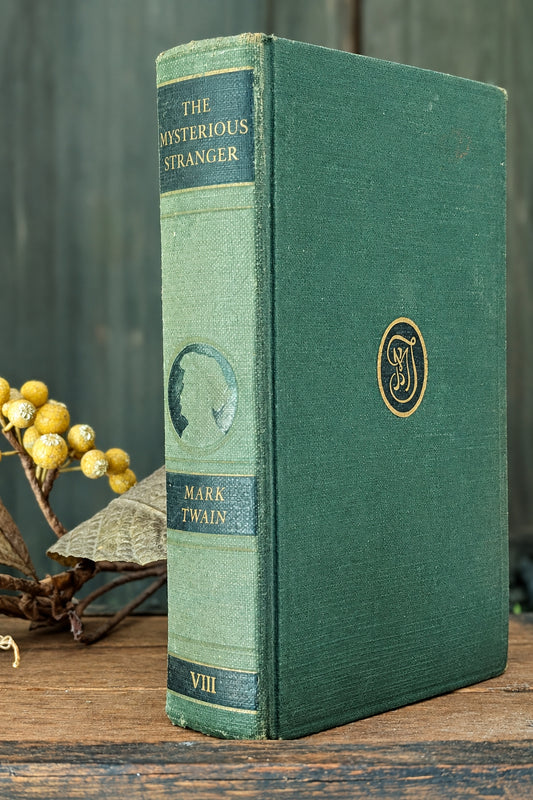 The Mysterious Stranger book