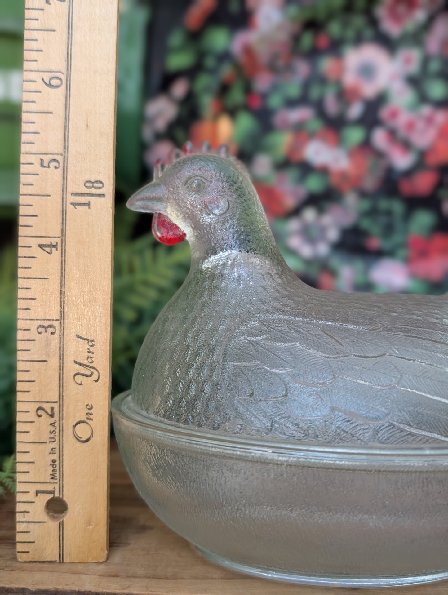Hen on a nest
