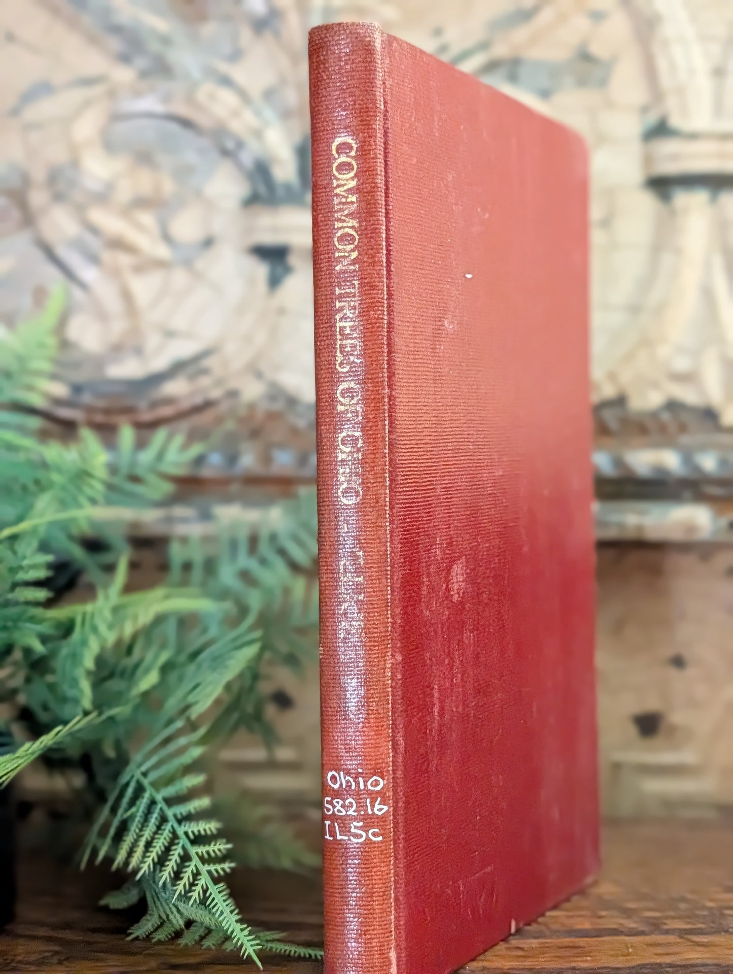 Ohio tree book