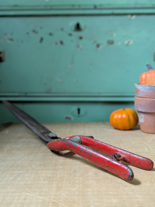 Garden shears in red