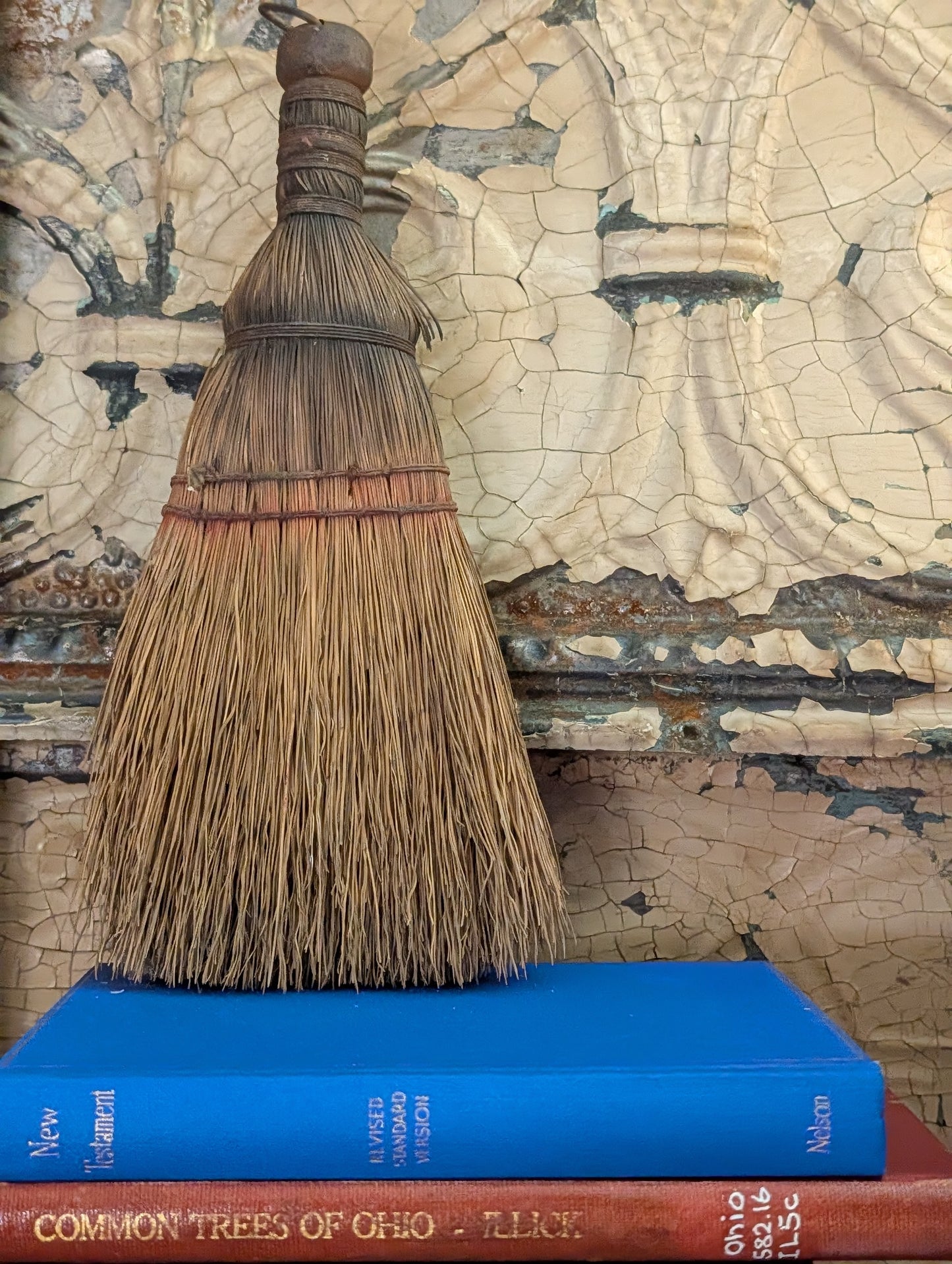 Whisk broom