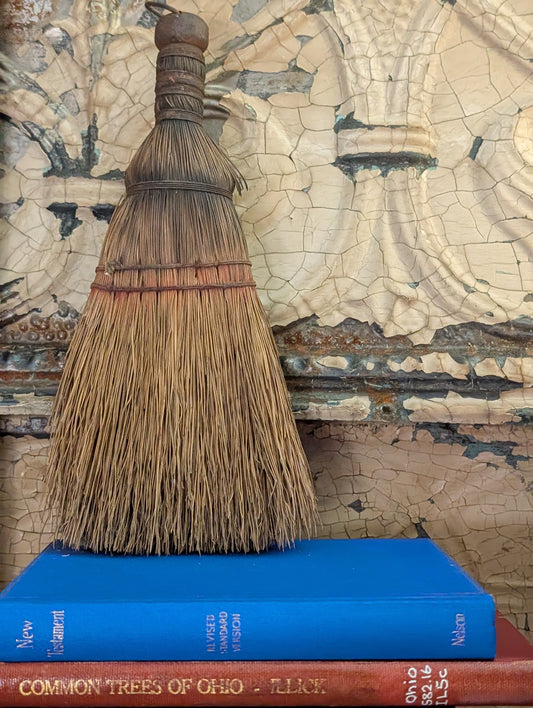 Whisk broom