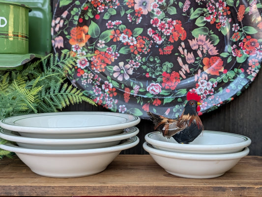 Restaurant ware bowls