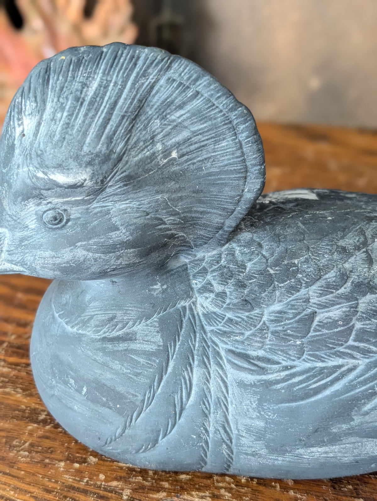 Duck