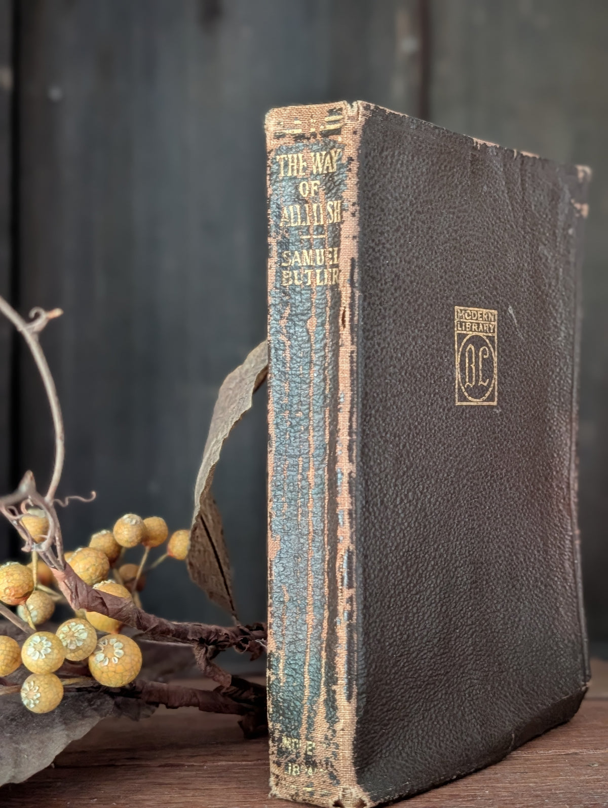 The Way of All Flesh book