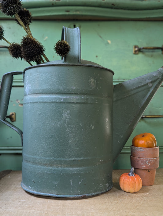 Green painted galvanized watering can