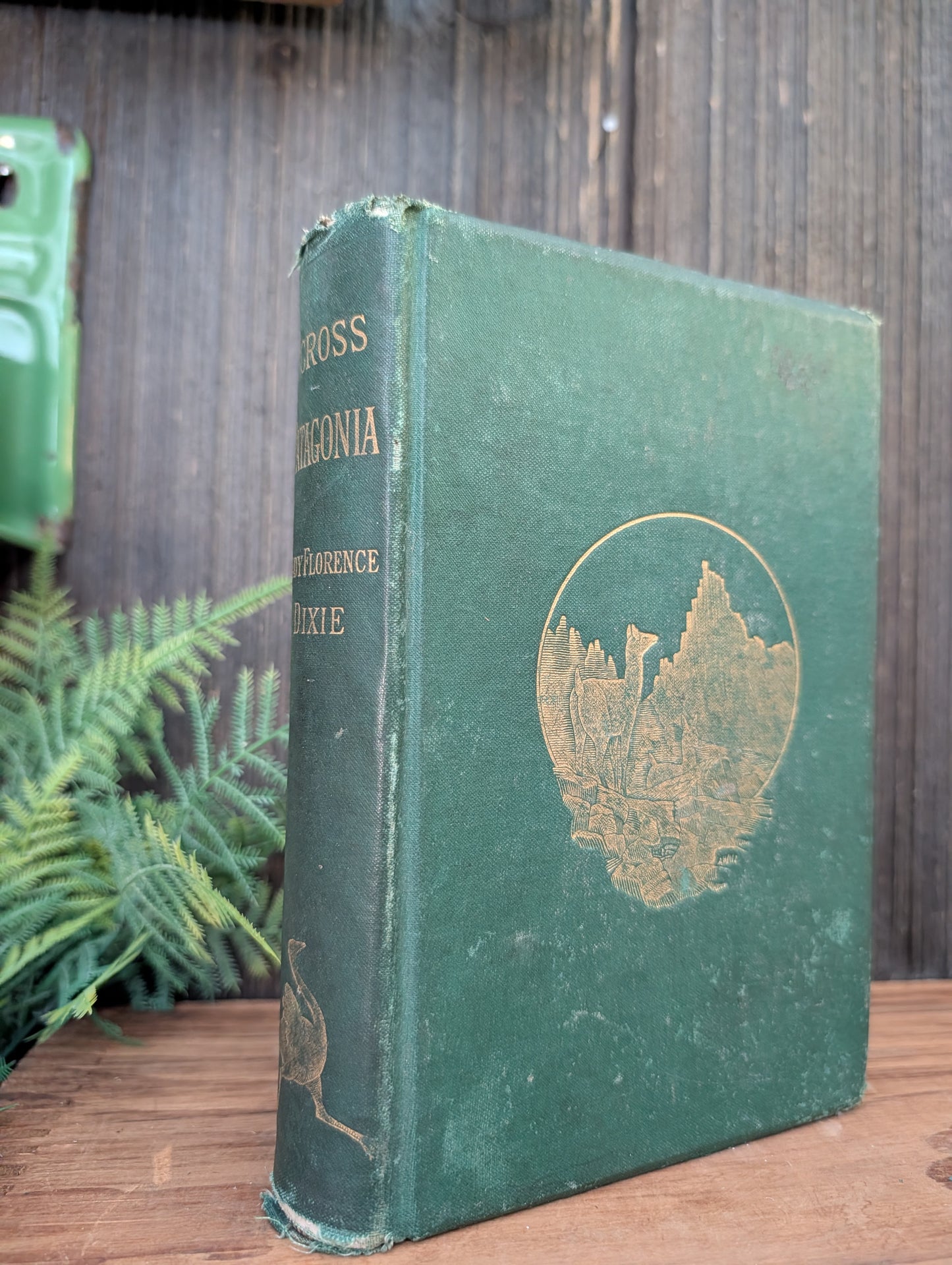 Across Patagonia book