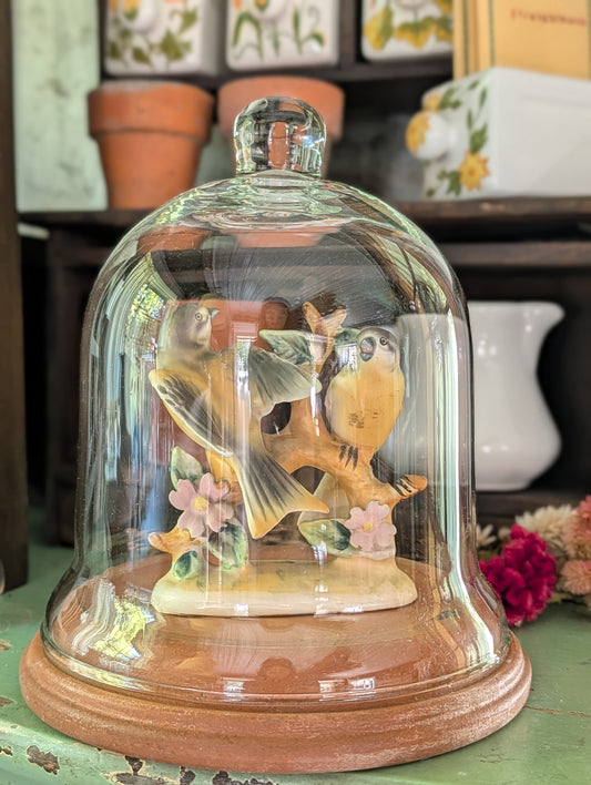 Cloche/bird collection