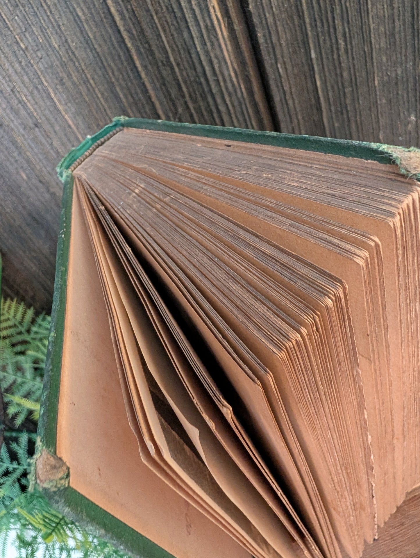 Across Patagonia book