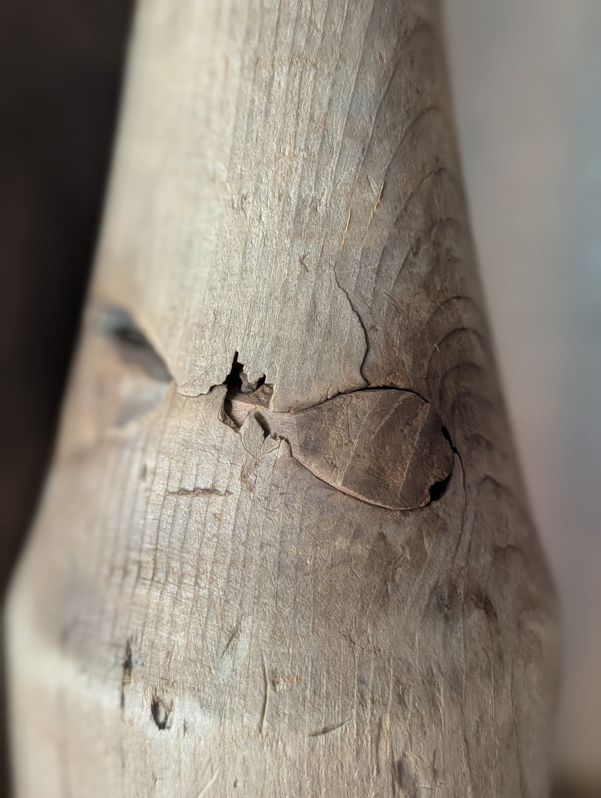 Wood masher